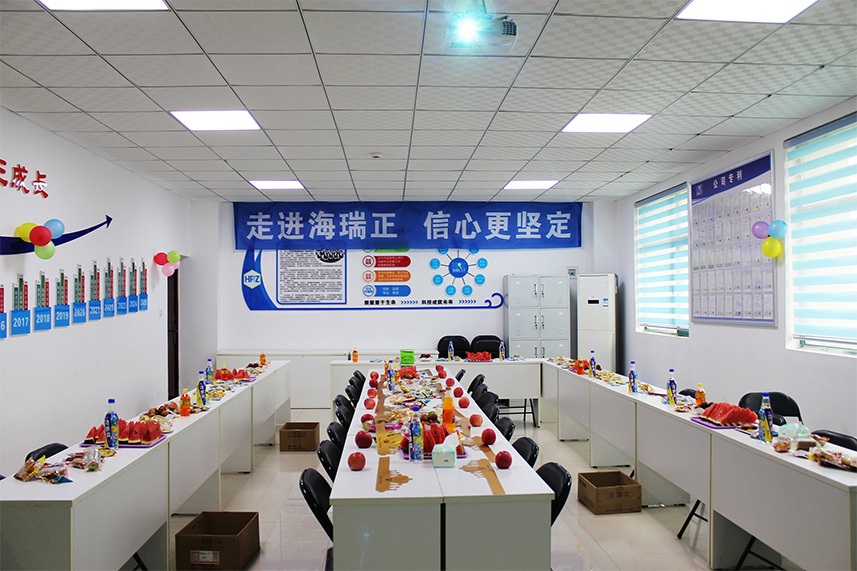 “端午粽动员 生日艾相伴”——海瑞正检测公司举办2025年第二季度员工生日会