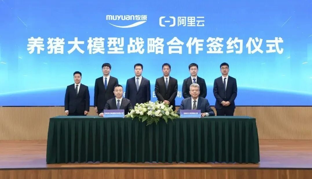 牧原股份与阿里云签署养猪大模型战略合作协议