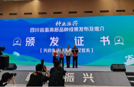 河南旭瑞参与培育的“天府农华麻羽肉鸭配套系”荣获国家畜禽新品种证书